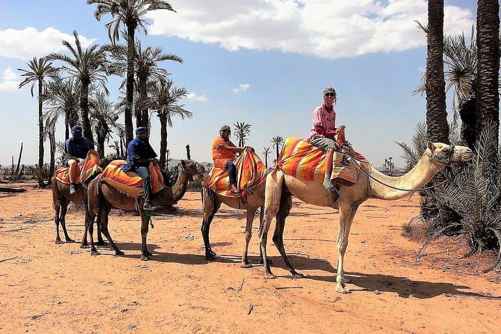 Majorelle Garden, Berber Museum & Palm Oasis Camel Ride — Half-Day Cultural Tour from Marrakech photo 6