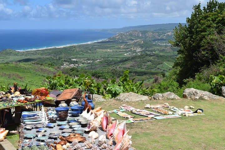 Barbados Monkey-Feeding at the Wildlife Reserve and North Point Cliff Views photo 4