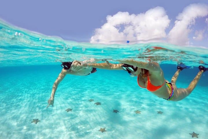 El Cielo Cozumel Snorkeling Day Trip from Playa del Carmen