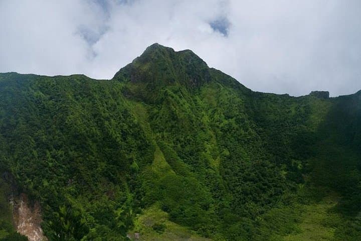 Mount Liamuiga Volcano Hike — Rainforest Trails & Summit Crater Views in St. Kitts photo 2