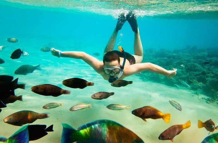 Cabo San Lucas Snorkel, Tequila Tasting & Shopping Tour — El Arco Catamaran Experience photo 2