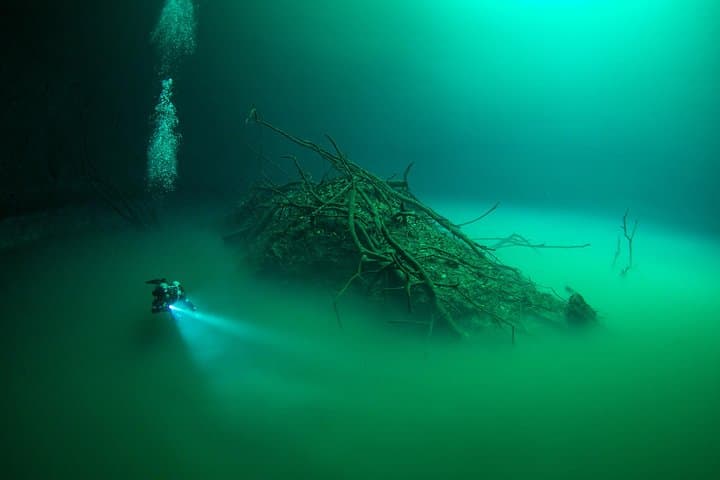 Advanced Cenote Deep Dives in Tulum: Pit & Dos Ojos Cavern Scuba photo 2