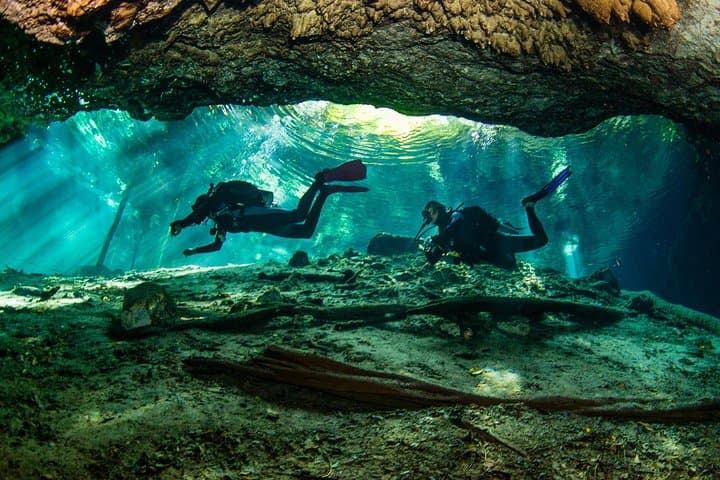 Two Cenote Dives at Dos Ojos for Certified Divers — Tulum Cavern Scuba