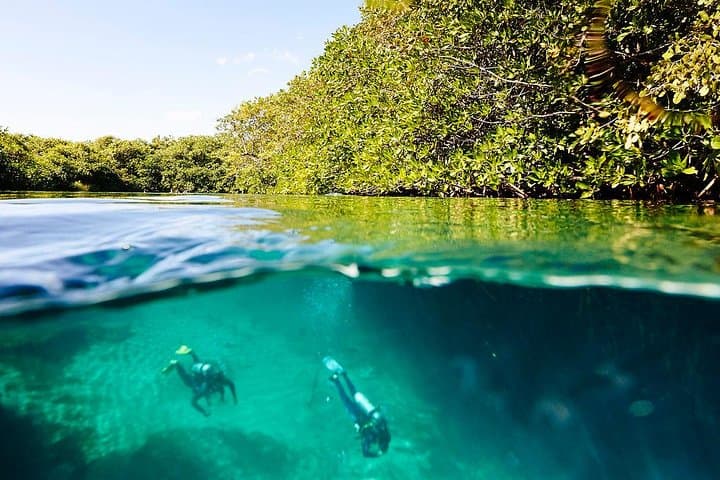 Casa Cenote Beginner Dive — Tulum Cenote Intro & Refresher (12 m, 40 min) photo 2