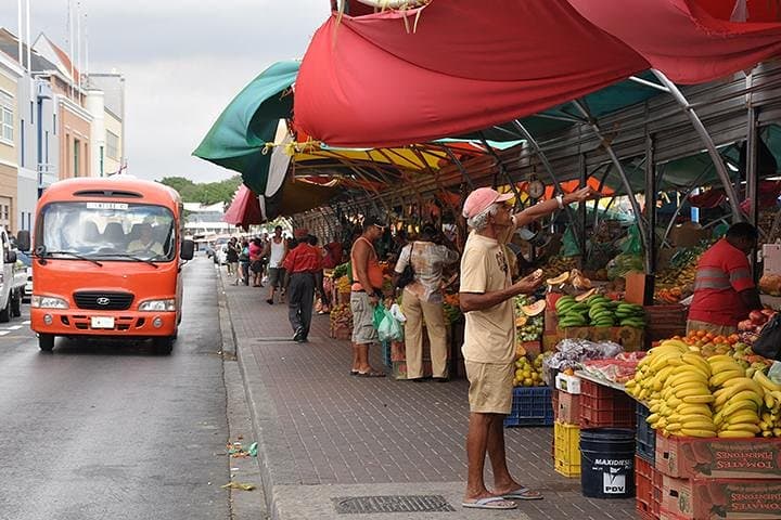 Curacao Complete Island Tour: Willemstad, Flamingos & Shete Boca
