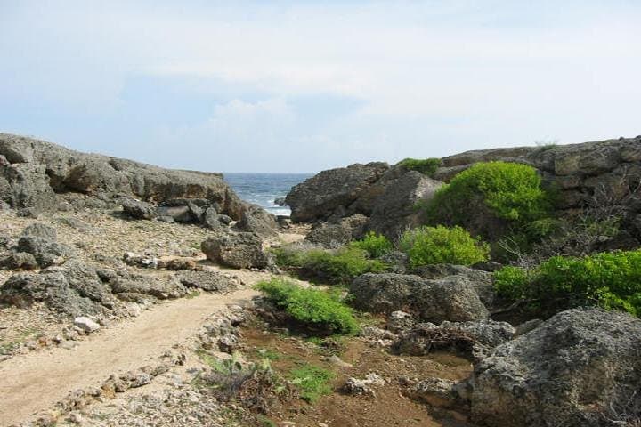 Curacao Complete Island Tour: Willemstad, Flamingos & Shete Boca photo 2