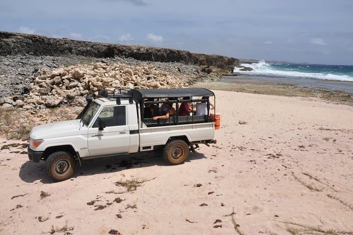 Christoffel National Park Jeep Safari: Off-Road Views, Orchids & Coastal Blowholes
