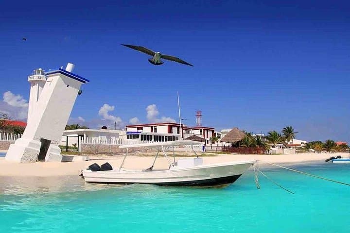 Puerto Morelos Two Reefs Snorkeling Tour on the Mesoamerican Reef photo 3