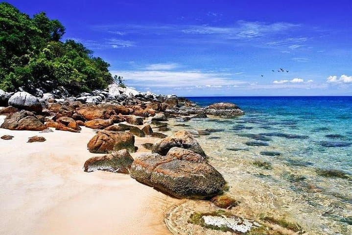 Cu Lao Cham Island Snorkeling Tour from Da Nang & Hoi An