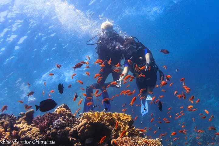 Introductory Red Sea Scuba: 1:1 Guided Dive from Hurghada on a 27m Boat photo 3
