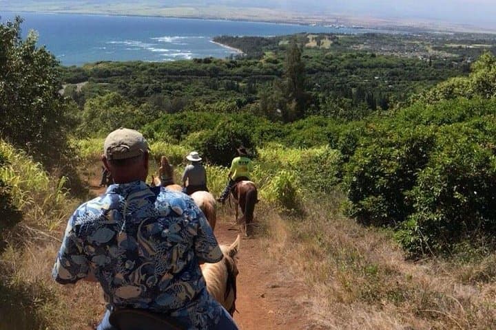 West Maui Horseback Waterfall & Ocean Ride — Mountain to Coast on Horseback photo 3