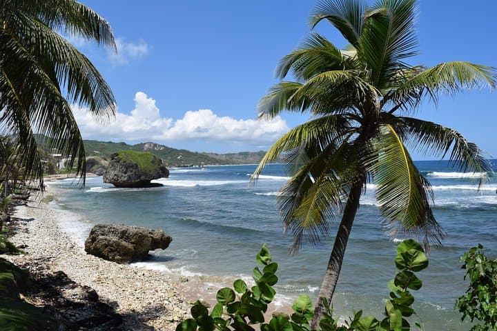 Barbados Island Adventure: Harrison's Cave, Bathsheba & Monkey Feeding photo 5