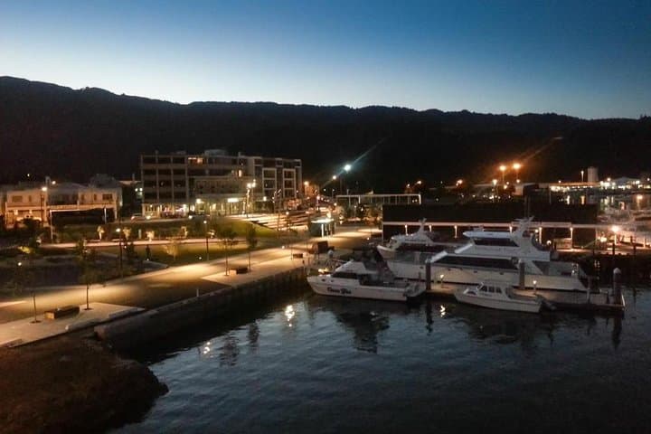 Self-Guided Picton Foreshore Audio Tour — Edwin Fox, Whaling History & Māori Sites photo 4