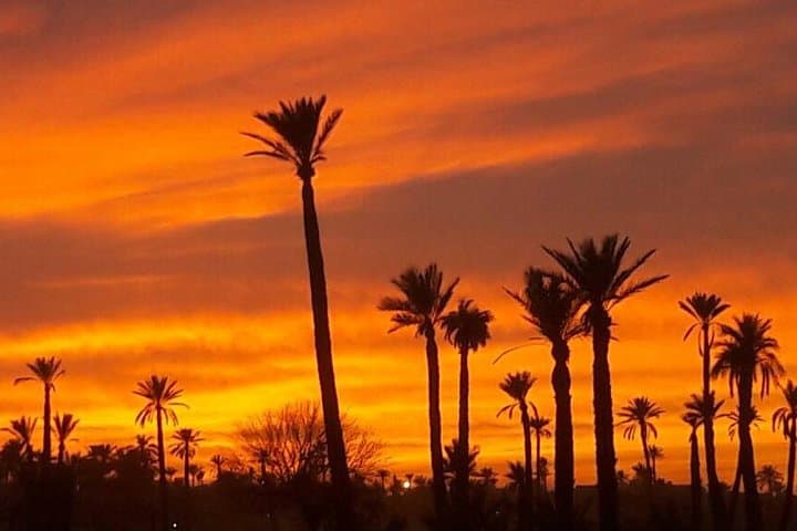 Sunset Camel Ride & Dinner Show in Agafay Desert near Marrakech photo 6