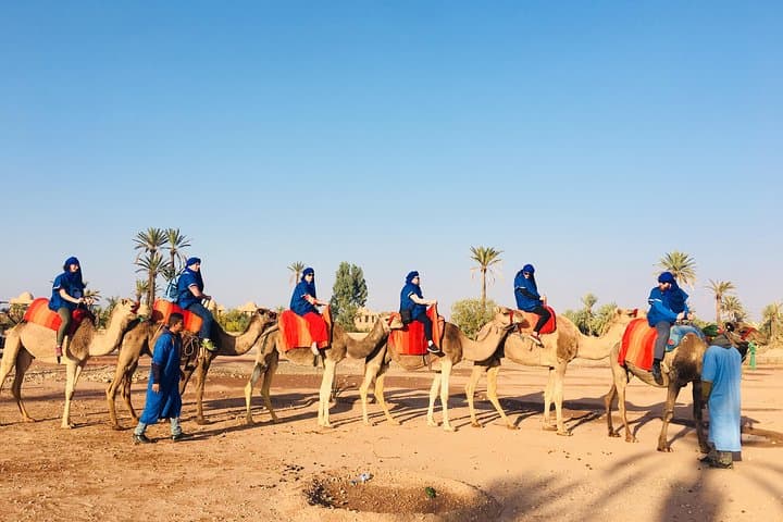 Ouzoud Waterfalls Full-Day Trip from Marrakech: Hike, Monkeys & Terrace Lunch photo 3