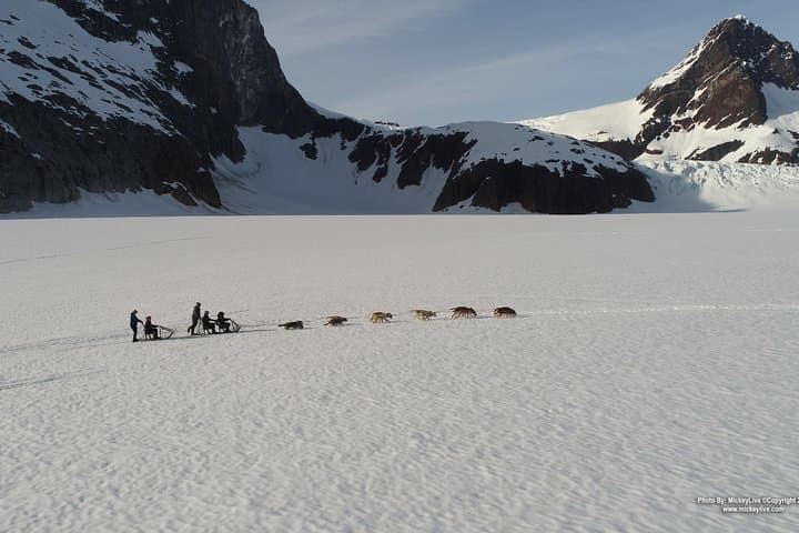 Alaska Thrills: Helicopter Glacier Landing and Dogsled Adventure from Juneau photo 3