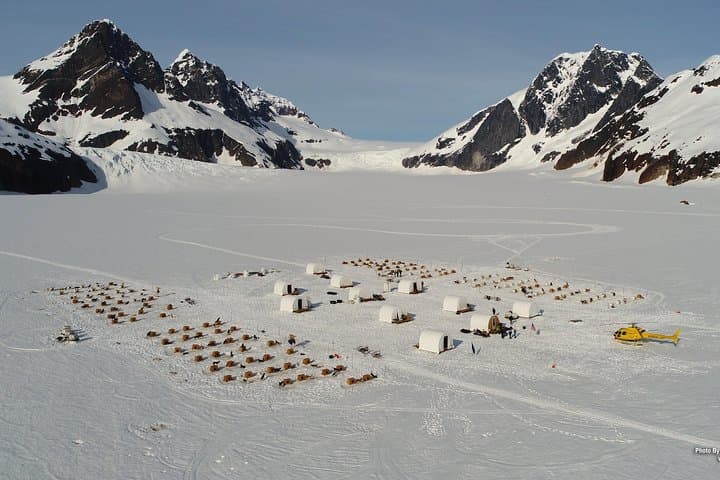 Alaska Thrills: Helicopter Glacier Landing and Dogsled Adventure from Juneau