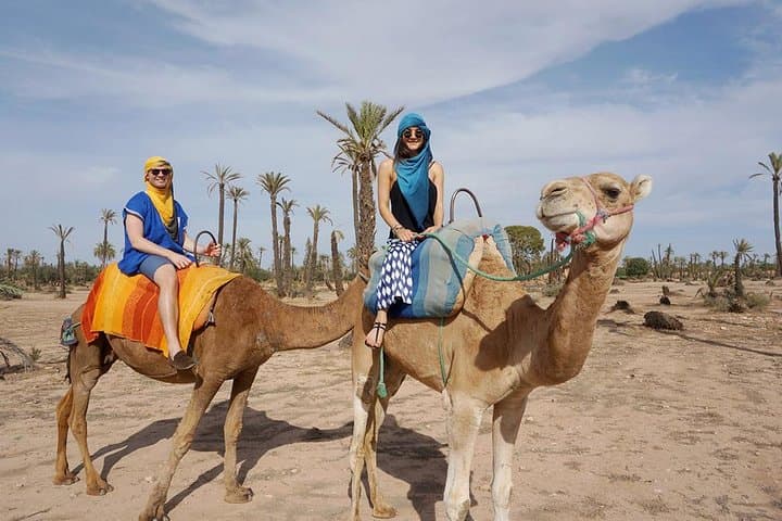 Camel Ride Through Marrakech Palmeraie and Berber Villages: 2-Hour Palm-Grove Excursion photo 4