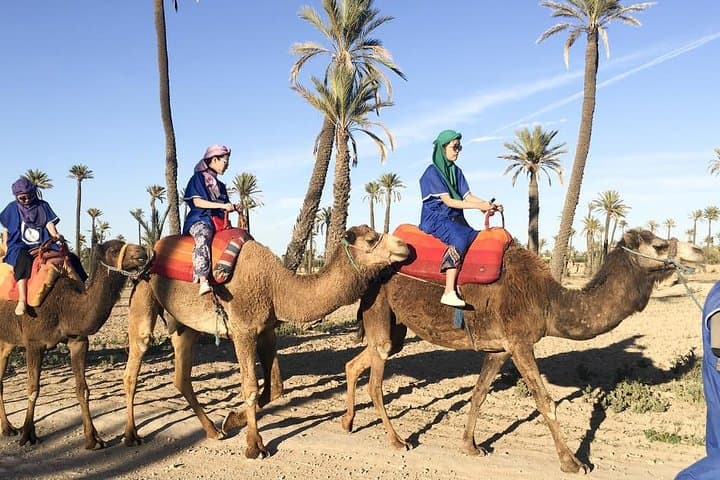 Camel Ride Through Marrakech Palmeraie and Berber Villages: 2-Hour Palm-Grove Excursion photo 6
