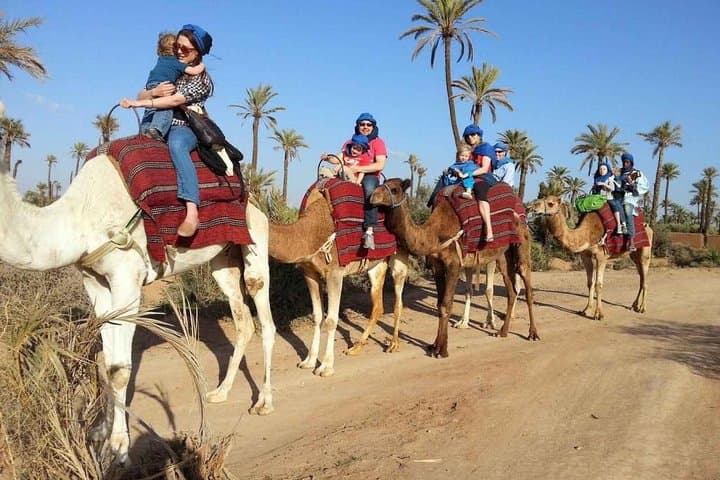 Sunset Camel Ride in Marrakech Palmeraie with Moroccan Tea photo 3