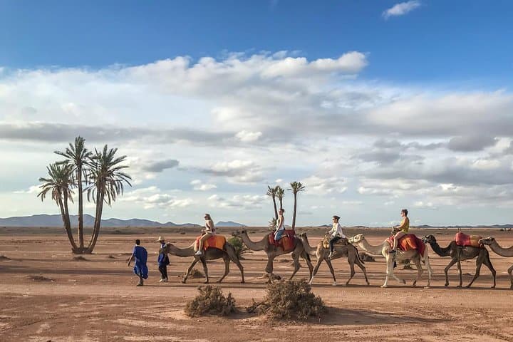 Sunset Camel Ride in Marrakech Palm Grove — Palmeraie Dromedary Experience