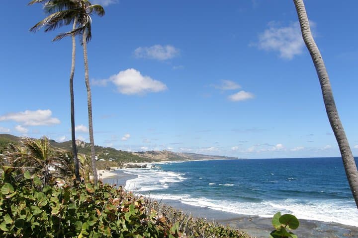 barbados-paradise-sightseeing-tour-carlisle-bay-and-east-coast photo 3