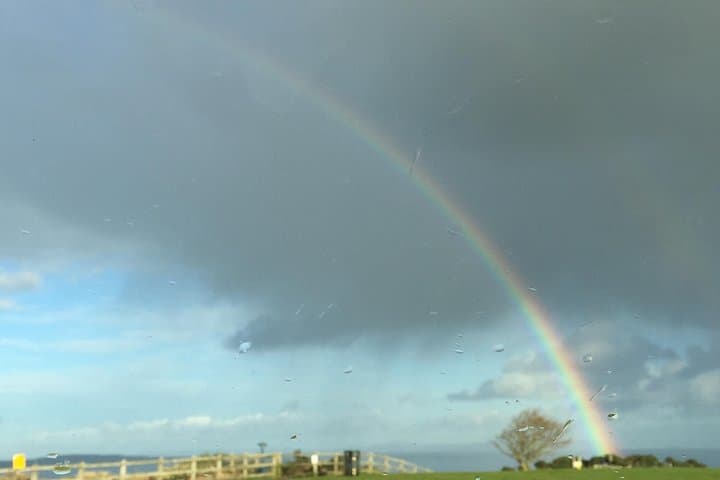 Giant's Causeway Day Tour from Belfast — Coach Trip to Basalt Cliffs, Dunluce & Bushmills photo 2