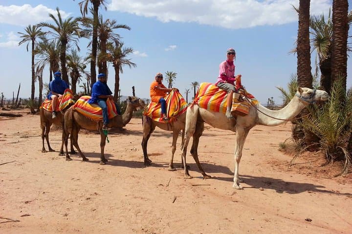 Camel Ride in Marrakech’s Palmeraie — Mint Tea, Berber Villages & Sunset Views photo 6