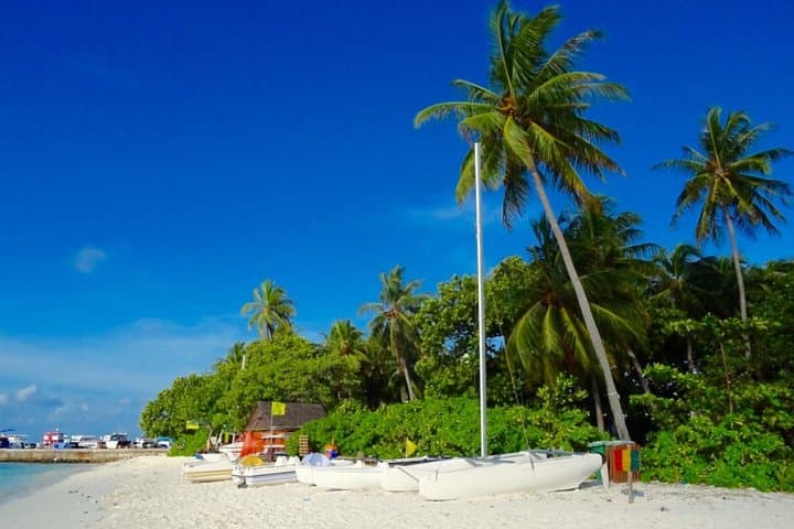 Vilimalé Eco Walking Tour from Malé — Half-Day Conservation & Culture Walk photo 3