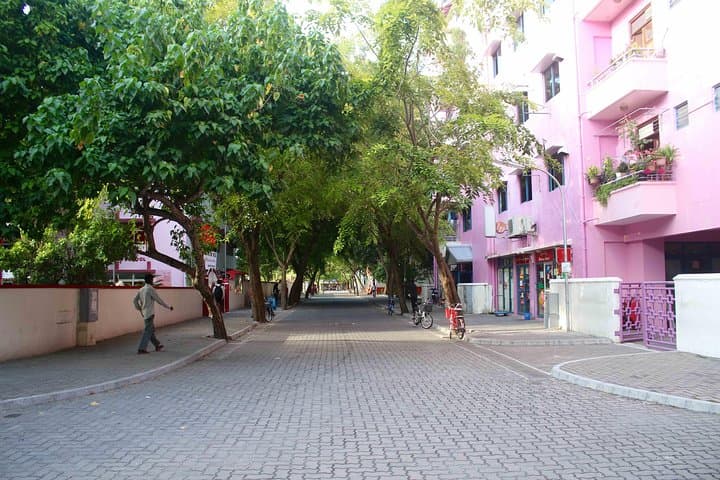 Vilimalé Eco Walking Tour from Malé — Half-Day Conservation & Culture Walk photo 5