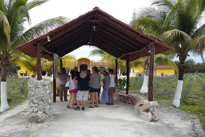 Private Jeep Excursion in Cozumel: Drive, Snorkel and Taste Local Flavors photo 4