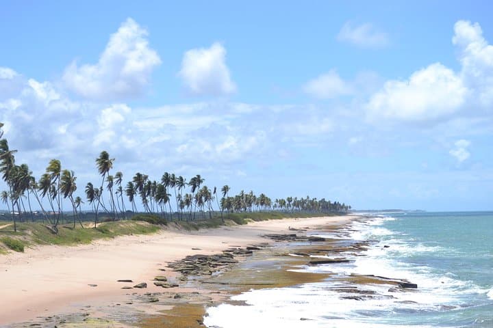 Praia do Forte SUV Beach Hopping on the Coconut Coast — Private 8‑Hour Coastal Tour photo 3