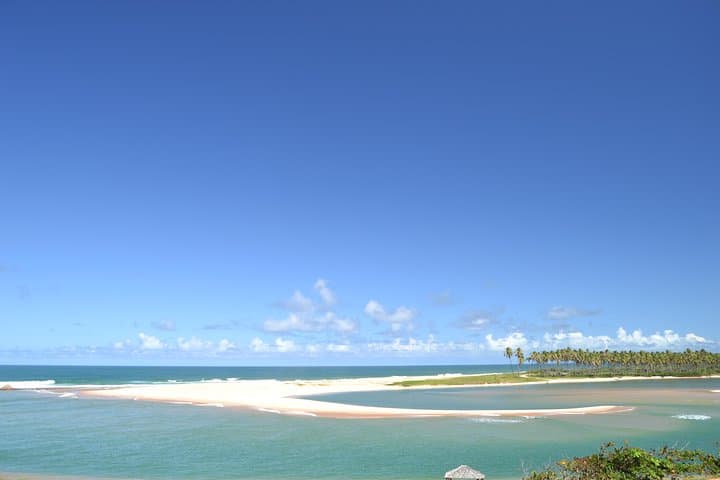 Praia do Forte SUV Beach Hopping on the Coconut Coast — Private 8‑Hour Coastal Tour photo 4