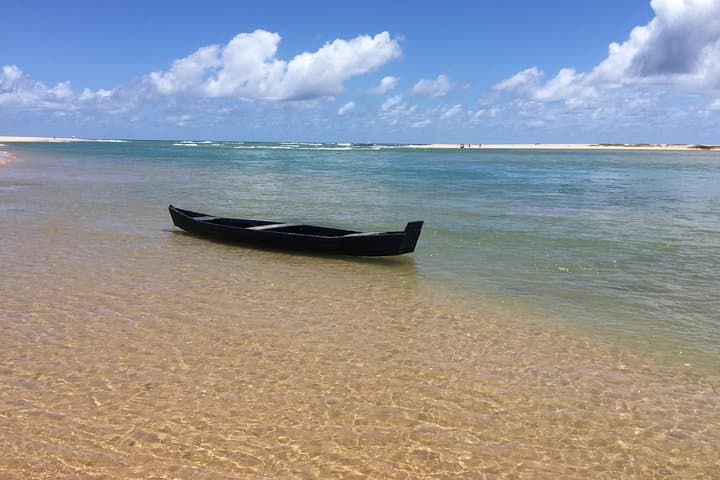 Coconut Coast Day Tour: Praia do Forte & Jacuípe Beach with TAMAR Visit photo 6