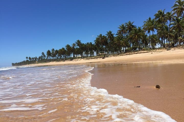Praia do Forte SUV Beach Hopping on the Coconut Coast — Private 8‑Hour Coastal Tour photo 5