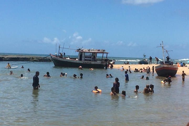 Salvador to Praia do Forte Day Trip — Coconut Coast Beaches & Turtle Station photo 3