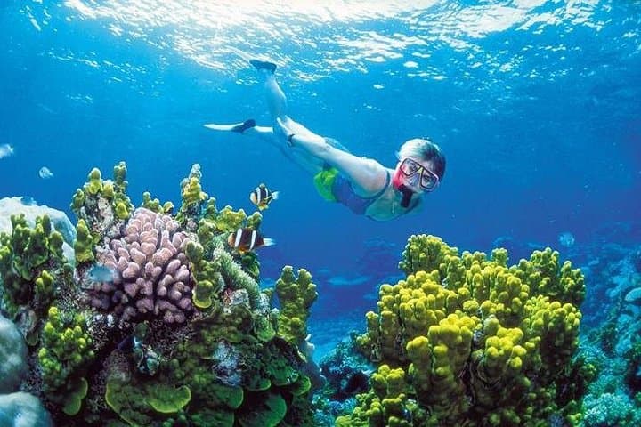Snorkel, ATV & Cenote Adventure from Cancun — Reef, Ziplines and Cenote Jumps photo 1