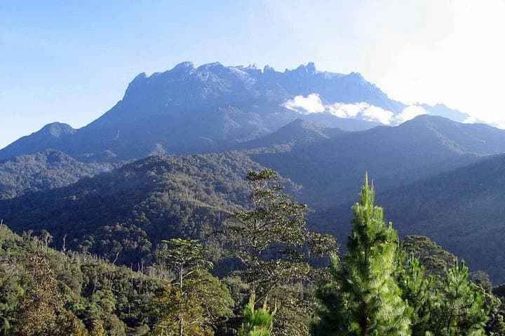 Day Trip to Kinabalu Park & Poring Hot Springs from Kota Kinabalu photo 1
