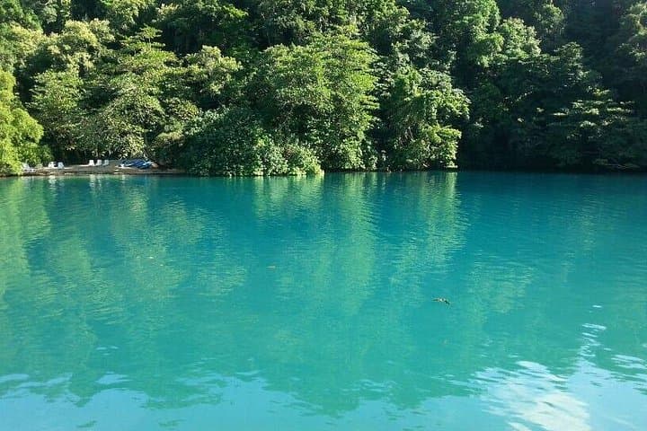 Ocho Rios Fern Gully & Konoko Falls Tour — Rainforest Drive and Waterfall Gardens photo 2