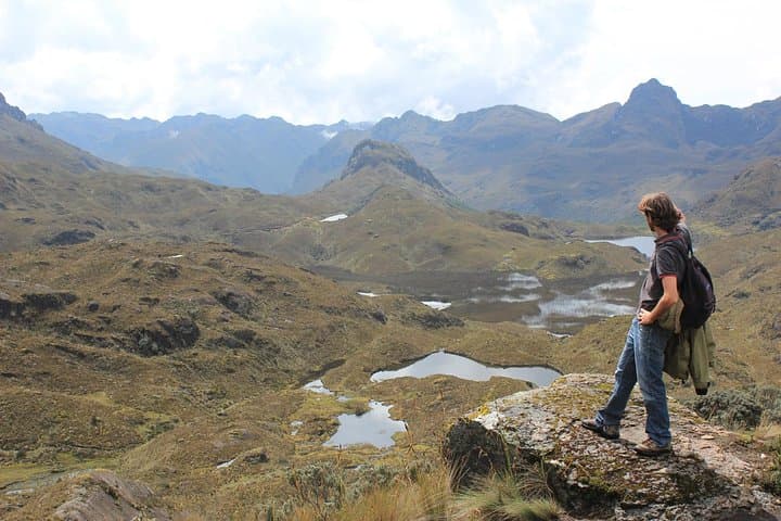 Cajas National Park Full-Day Trek from Cuenca — Cucheros to Mamamag Lagoons