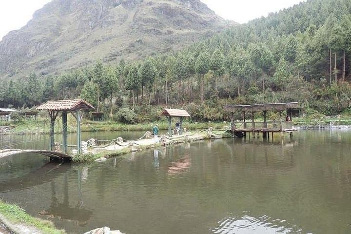Full-Day Trout Fishing in Cajas National Park — High-Andean Lagoons from Guayaquil