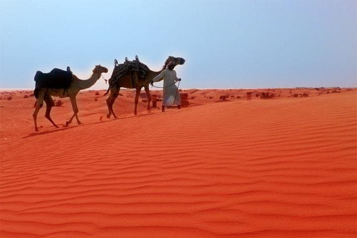 Private Dubai Desert Safari: Dune Bashing, BBQ & Live Shows in a Luxury Jeep photo 2