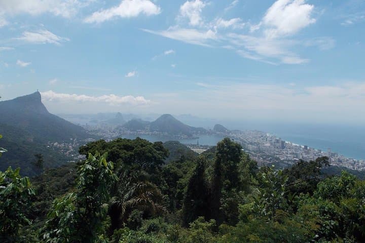 Tijuca Forest Jeep Tour: Rio's Urban Rainforest Jeep Adventure photo 2