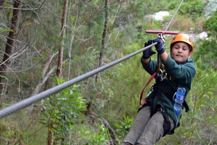 Garden Route Adventure from Cape Town: 5-Day Bungee, Cage-Dive & Zipline Outdoor Tour photo 2