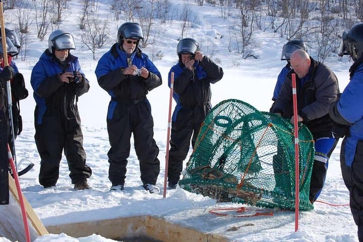 King Crab Safari from Saariselkä to Kirkenes: Full-Day Arctic Fjord Adventure