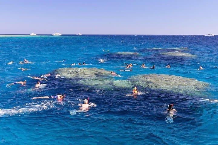 Full-Day Snorkel at Ras Mohamed & White Island — Boat Trip from Sharm El Sheikh photo 2