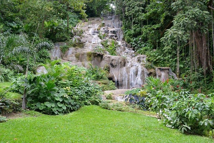Konoko Falls & Tropical Garden Day Tour from Runaway Bay — Waterfall Climb and Botanical Walk photo 1