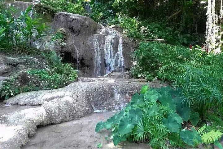 Konoko Falls & Tropical Garden Day Tour from Runaway Bay — Waterfall Climb and Botanical Walk photo 2