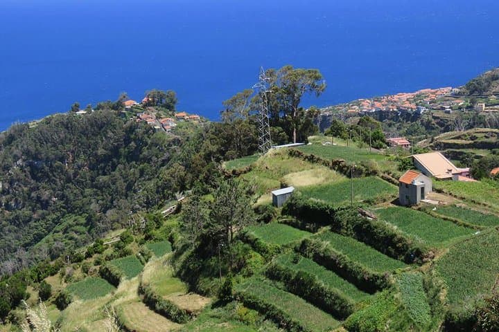 Madeira Highlights: Guided 4-Hour Tour from Funchal — Coastal Views, Terraces & Local Culture photo 3