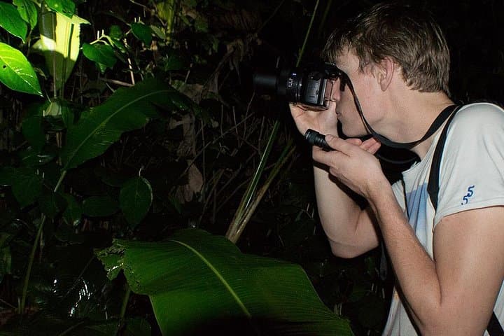 Night Walk in Tortuguero: Guided Nocturnal Wildlife Walk through Rainforest Trails photo 1